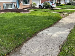 Isaac G.'s lawn service service result