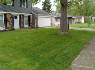 Clinton B.'s lawn care service result