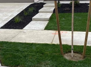 Derrek R.'s grass cutting service result