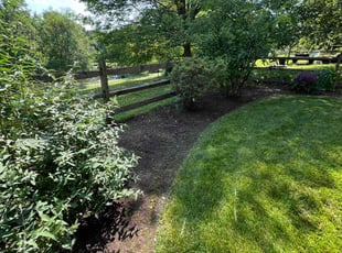 Yagiz G.'s lawn care service result