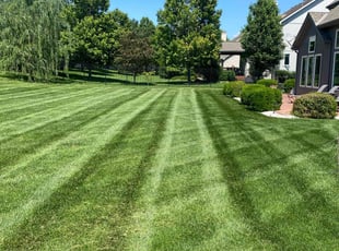 Mayzella W.'s lawn maintenance service result