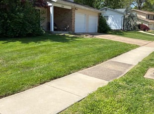 Jackie O.'s lawn care service result