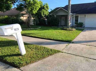Joyce S.'s turf care service result