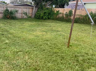 Terence S.'s lawn maintenance service result
