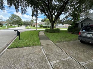 Terry F.'s turf care service result