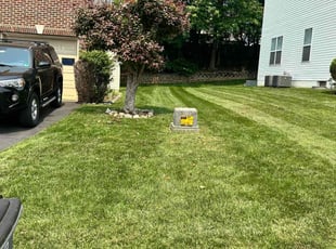 Chelsea W.'s lawn service service result