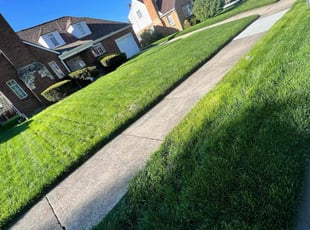 Rebecca S.'s turf maintenance service result