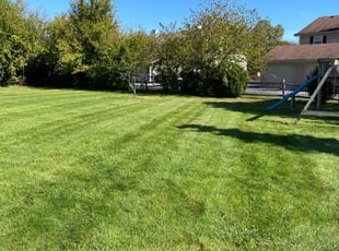 Lisbeth C.'s yard maintenance service result