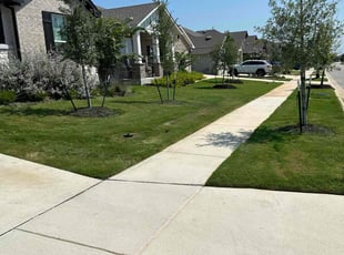 Susan O.'s lawn care services service result