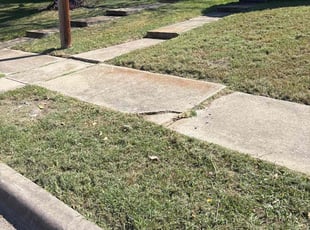 Rob C.'s grass maintenance service result