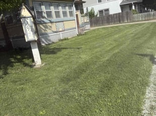 Deb D.'s lawn maintenance service result