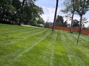 Gretchen P.'s lawn care service result