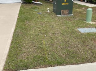 Maftuna I.'s lawn care services service result