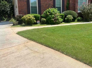 Mohit C.'s Flower Bed Weeding service result