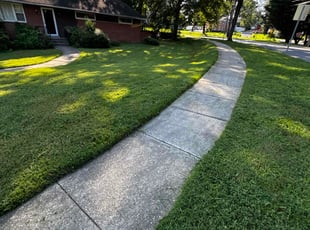 Erich H.'s lawn care service result
