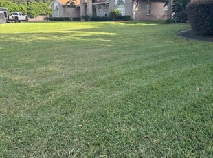Mary C.'s turf care service result