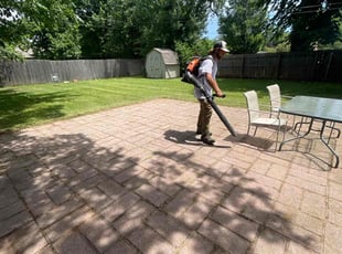 Lisa C.'s lawn service service result