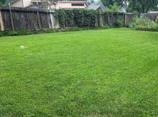 John M.'s lawn service service result