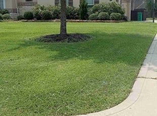 Eugene C.'s Long Grass Cleanup service result