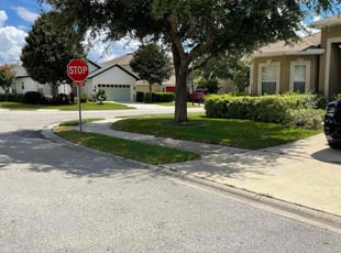 Sue L.'s turf care service result