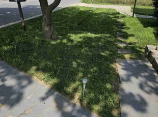 Jerome F.'s lawn service service result