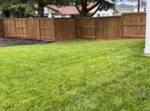 Angel E.'s lawn care services service result