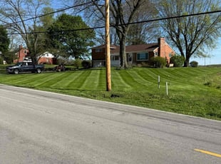 John A.'s grass cutting service result