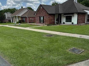Khoa T.'s lawn care service result