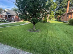 Dwight S.'s lawn maintenance service result