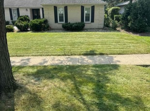 Alison K.'s turf care service result