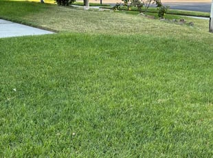 Shanda C.'s lawn maintenance service result