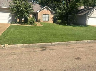 Gay G.'s turf care service result