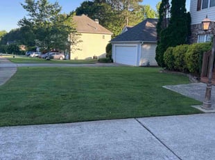 Olan M.'s lawn service service result