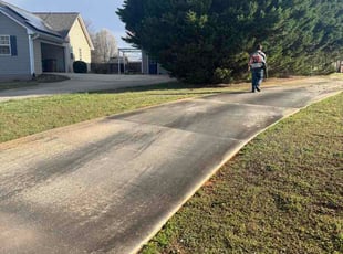 Anthony J.'s lawn service service result