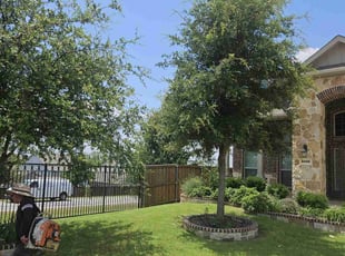 Cynthia W.'s grass cutting service result