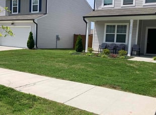 Zach T.'s turf maintenance service result