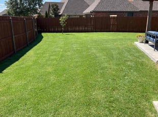 Juliet W.'s lawn care service result
