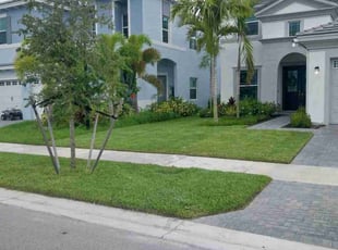 Tony A.'s turf care service result