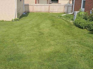 Chris M.'s lawn service service result