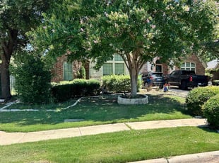 Sam C.'s lawn maintenance service result
