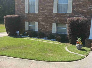 Dave M.'s Bush Trimming service result