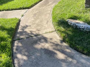 Marie O.'s turf care service result