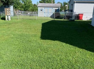 Tina T.'s turf care service result