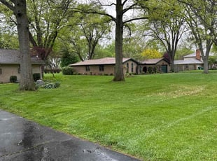 Justin C.'s lawn care service result