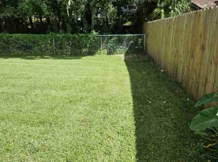 Jenny C.'s lawn maintenance service result