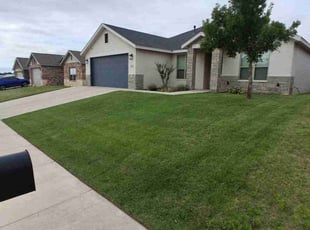 Barbara C.'s yard maintenance service result