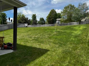 Laura L.'s lawn care service result