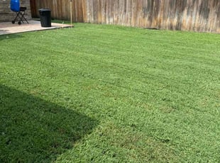 Preston D.'s turf care service result