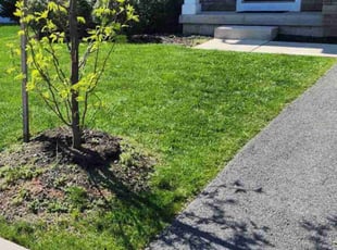 Gregory L.'s grass cutting service result