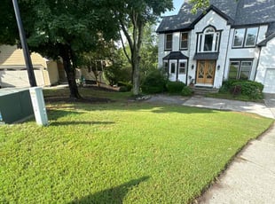 Meachelle K.'s lawn service service result